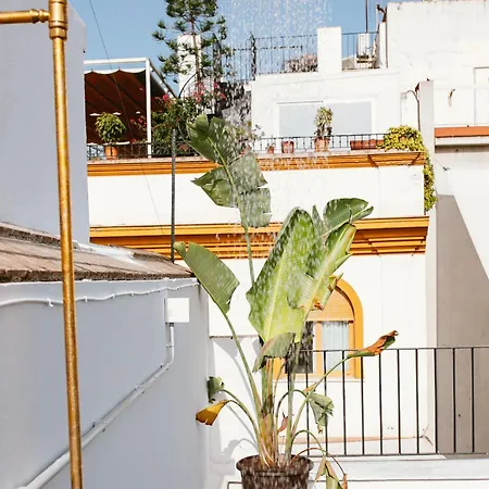 Lujoso Con Piscina Compartida 1 Appartement Séville